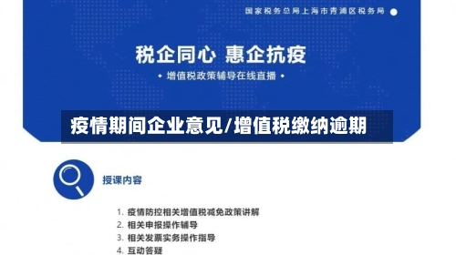 疫情期间企业意见/增值税缴纳逾期-第2张图片