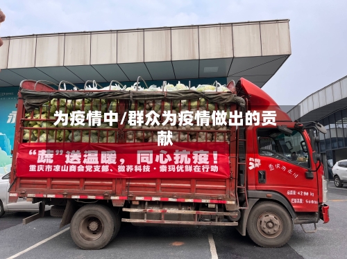为疫情中/群众为疫情做出的贡献