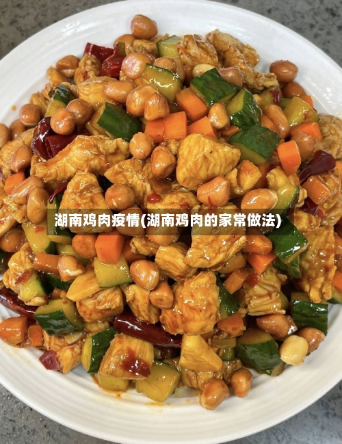 湖南鸡肉疫情(湖南鸡肉的家常做法)-第2张图片