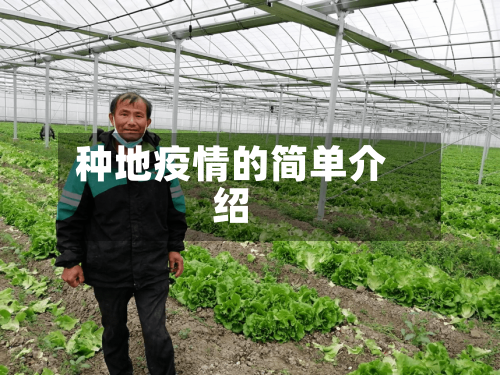 种地疫情的简单介绍